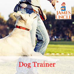 Dog trainer Mr. Subhadeep Dutta in Madhyamgram Bazar